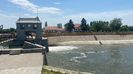 IMG-20220625-WA0005