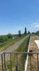 IMG-20220625-WA0007