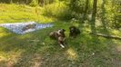 IMG-20220715-WA0015