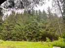 IMG-20220716-WA0003