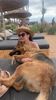 IMG-20220718-WA0017