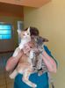 IMG-20220803-WA0022