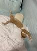 IMG-20220819-WA0000