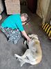 IMG-20220823-WA0006