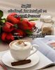 IMG-20220905-WA0003