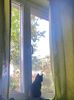 IMG-20220922-WA0005