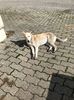 IMG-20220923-WA0014