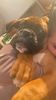 IMG-20220926-WA0015