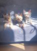 IMG-20220927-WA0006
