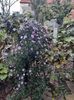 IMG-20221001-WA0027
