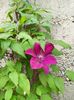 IMG-20221011-WA0001