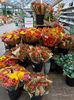 Img.2022.10.21