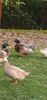 78bb86f3-e07a-4082-bfbc-87d2b43d9147photo