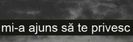 111433092_VQKCQMS3-1