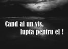 111433052_MLYCOWR3-1