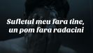 111453715_NXETAMB3-1