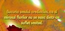 96978236_FOAXINW-1