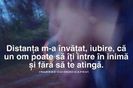 111433044_BIROBAK3-1