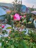 IMG20221025082836