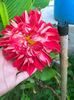 IMG20221025082626