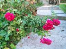 IMG20221025082554