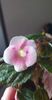 received_5754360477959346