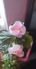 received_871554717557600