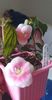 received_1004730314256969