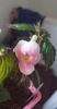 received_523824039112019