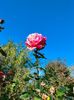 IMG20221026095610
