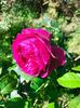 IMG20221026095545