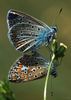 35062146_XPYILZJWX