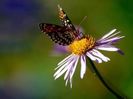 35062132_KRGRWOIRG