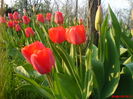 35432181_QIPUUGDWQ