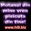31690904_APVHLYGQM