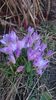 IMG-20210301-WA0010