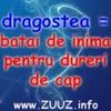 21478178_KBZMXBMON