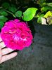 IMG20221030174156