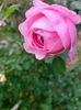 IMG20221030112220