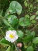 IMG20221030112204