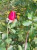 IMG20221030112139
