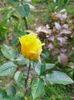 IMG20221030112115