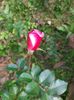 IMG20221030112055