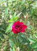 IMG20221030112015