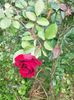 IMG20221030111933