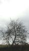 115253501_ZZVALHC-1-1