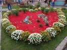 Img.2022.10.30