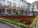Img.2022.10.30
