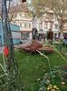 Img.2022.10.30