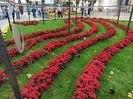Img.2022.10.30